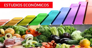estudios económicos_2