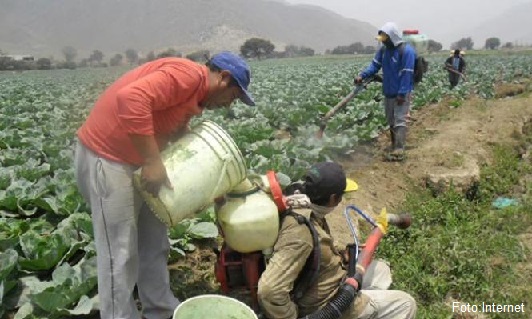 Causa depresión uso de pesticidas – Imagen Agropecuaria