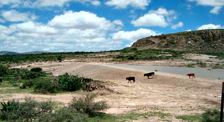 Necesario promover desarrollo rural sustentable en regiones áridas y ...