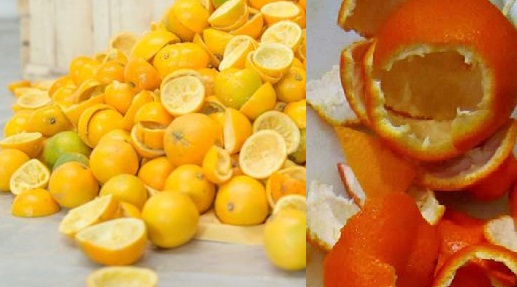 Aprovechan residuos cítricos de la agroindustria – Imagen Agropecuaria