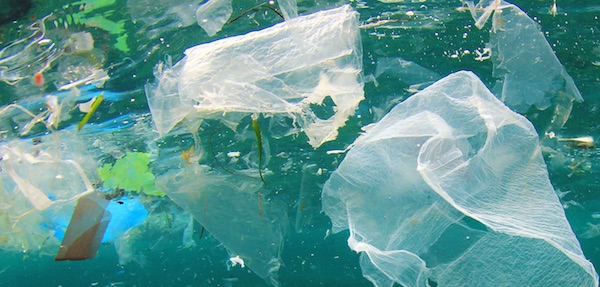 “La basura que arrojamos al mar la vamos a comer de regreso” – Imagen