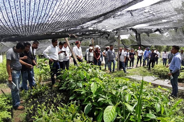 sembrando vida_ – Imagen Agropecuaria