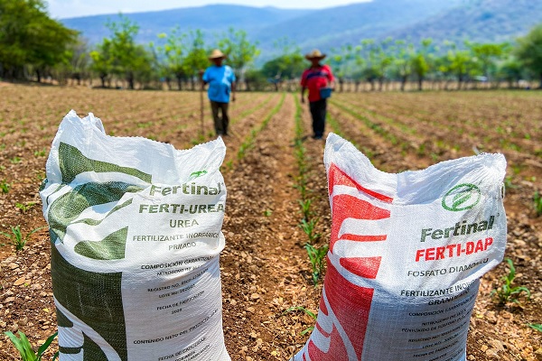 Fertilizer is delivered to small producers in Morelos – Imagen Agropecuaria