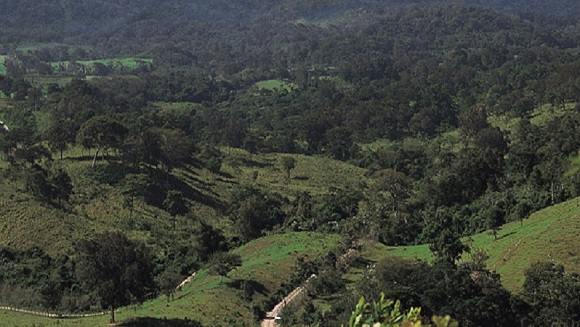 Especies Invasoras Tercera Causa De Pérdida De Biodiversidad Imagen Agropecuaria 5483