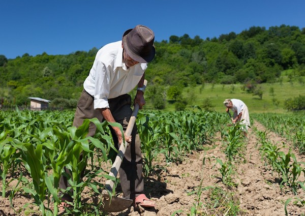 Quiere Morena nueva Ley para el Desarrollo Agrario – Imagen Agropecuaria