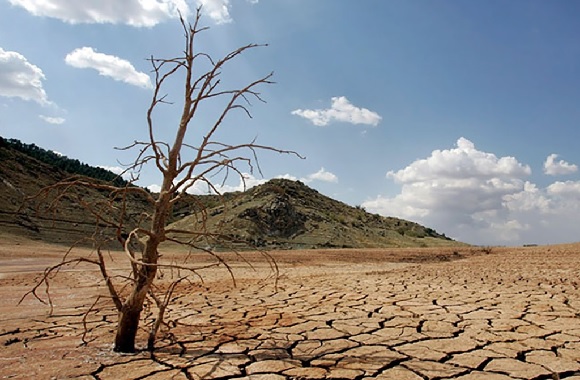 Aumenta sequía en el país – Imagen Agropecuaria