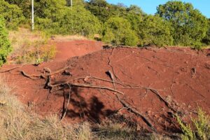 erosión del suelo - Imagen Agropecuaria