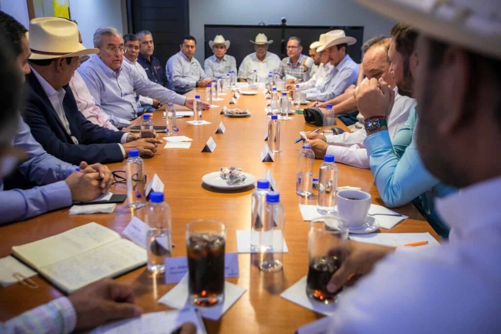 Comprarán 1.8 millones de t de maíz de Sinaloa, Segalmex y gobierno ...